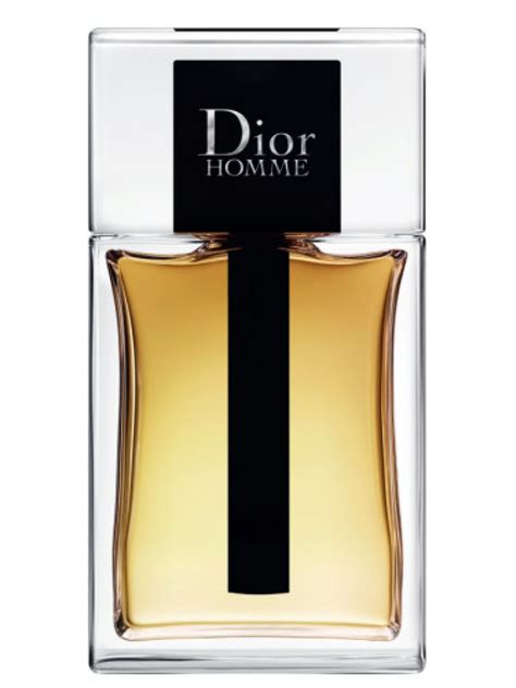 dior homme herrenduft|Dior Homme original vs 2020.